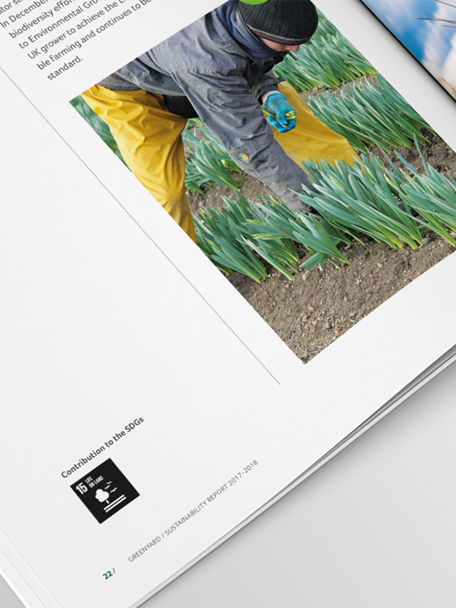 Sustainability Report 2018