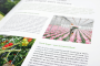 Greenyard Horti